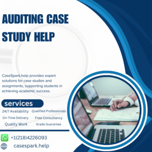 Auditing Case Study Help