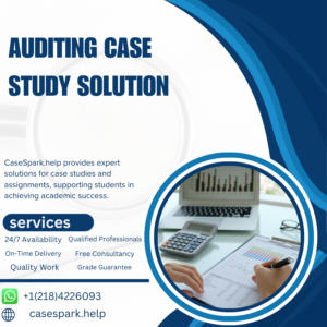 Auditing Case Study Solution